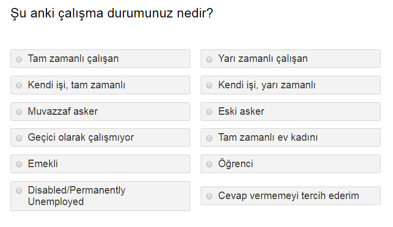 Ysense anket profili çalışma durumu sorusu