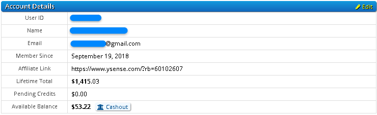 Ysense hesap detayları kısmı